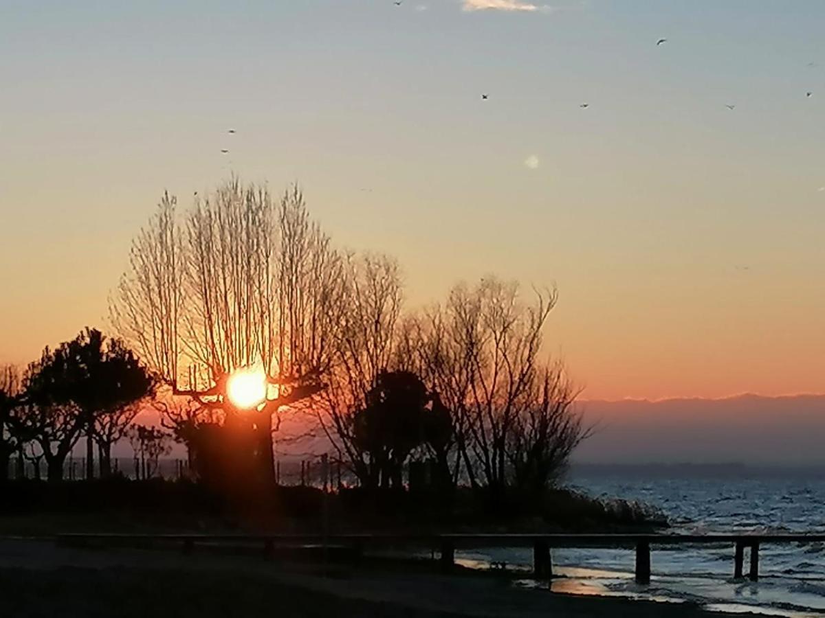 Villa La Magnolia - Private Beach Access, Garden, Views Lazise Exterior photo